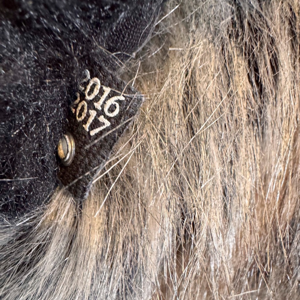 SpiritHoods Grey Wolf Faux Fur Hood Scarf With Paw Mittens - Picture 4 of 11